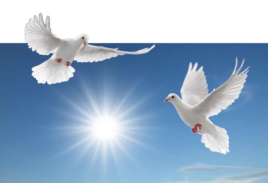 قاتەرلى جارىس قايتا باستالدى ما؟