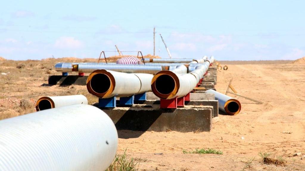 بالقاشتا جاڭا جىلۋ ماگيسترالى بولادى