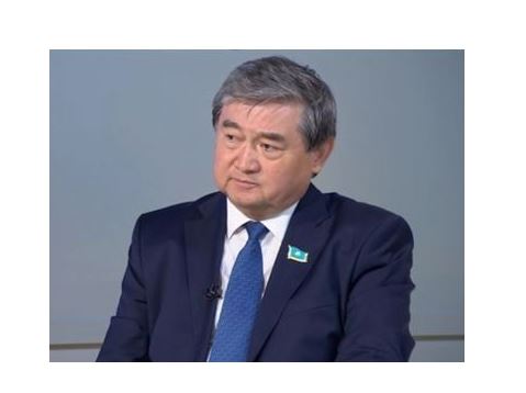 سەنىمدىلىك ستراتەگياسى