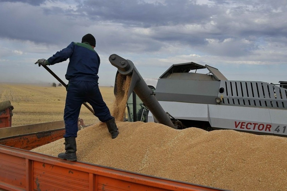 ەگىن جيناۋ ناۋقانى جالعاسۋدا