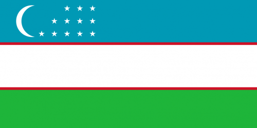 وزبەكستان قازاقستانمەن شەكارادا قالا سالۋدى جوسپارلاپ وتىر