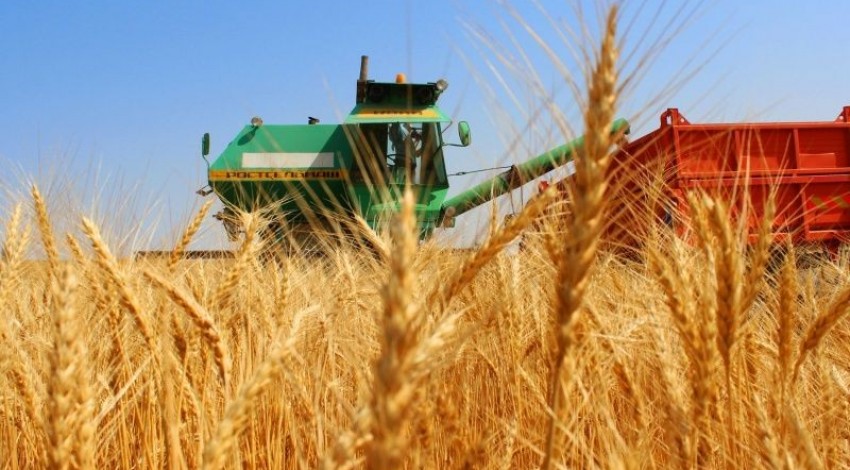 استىقتى القاپتارداعى ەڭبەك ءدۇبىرى