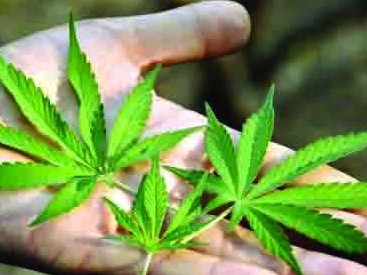 اتىراۋدىڭ تۇرعىنى قارۋ, وق-ءدارى, ەسىرتكى ساقتاپ, قاراسورا وسىرگەن