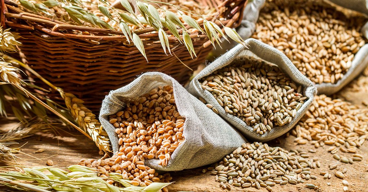 2025 جىلعى استىق باعاسى جاريالاندى