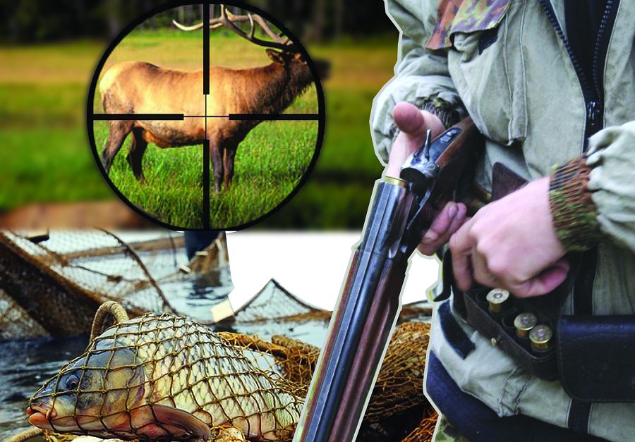 قاسكويلىك قاشانعا دەيىن جالعاسادى؟