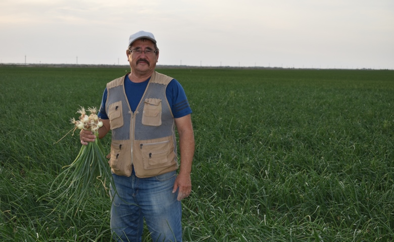 جەردى پايدالانۋ تەتىگى قاجەت