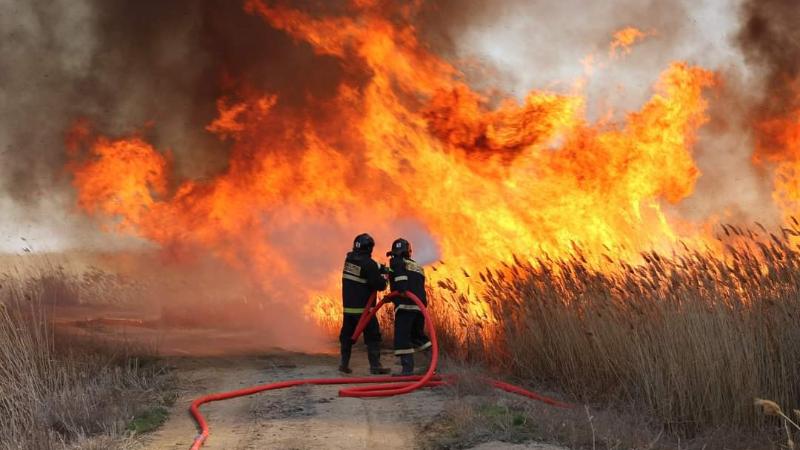 كاسپي تەڭىزىنىڭ جاعالاۋىنداعى قامىس ورتەنىپ جاتىر