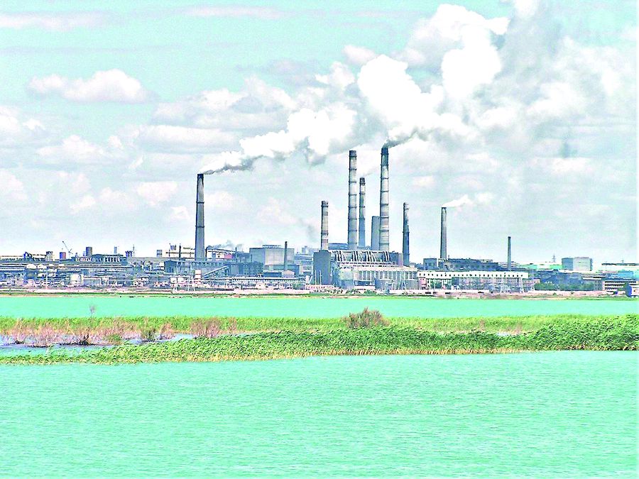 مونوقالا: دامۋدىڭ كىلتى قانداي؟