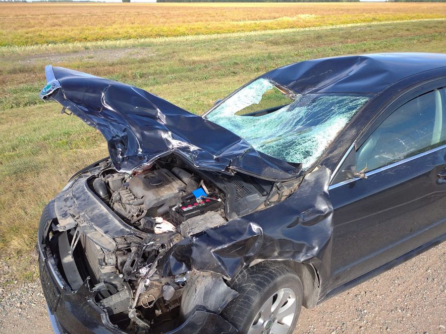 جاناشىر جاندار كومەككە كەلدى