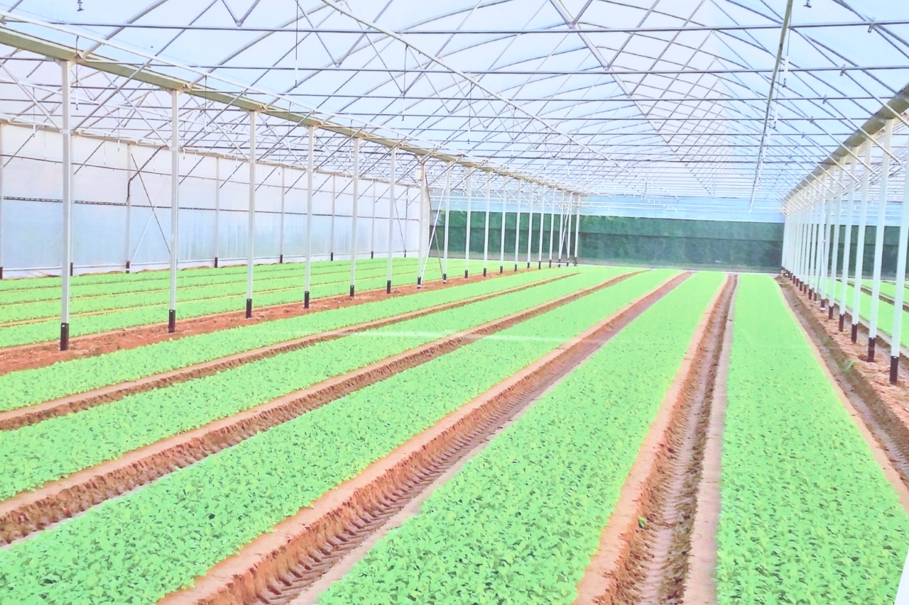 شىمكەنتتە "تەپليچنىي راي" اگرو-يندۋستريالدى ايماعىنىڭ قۇرىلىسى باستالدى