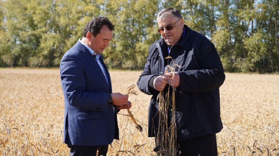 شاراپاتپەن شىرايلانعان زەرەندى