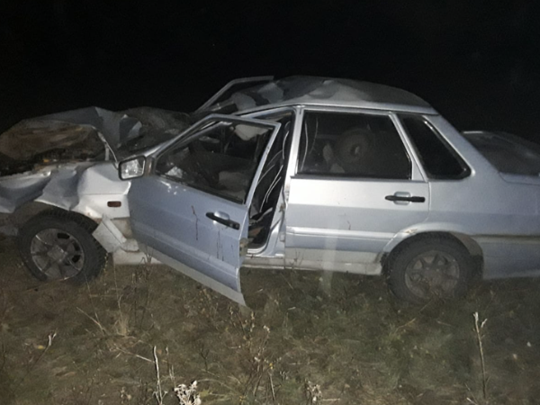 جول-كولىك وقيعاسىنا جانۋارلار سەبەپشى بولدى