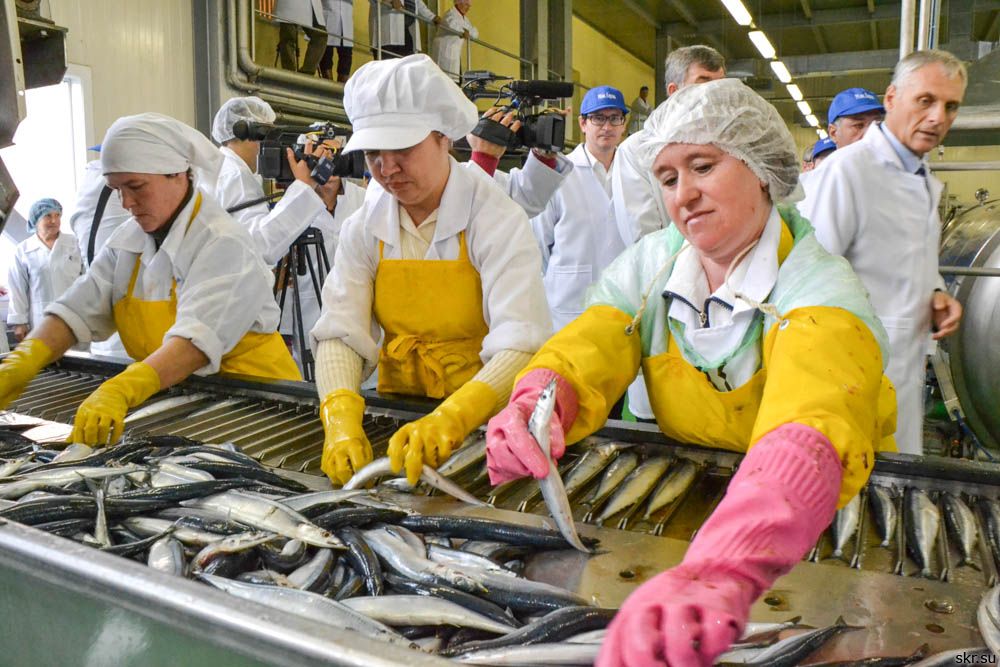 قازاقستاندا كونسەرۆىلەنگەن بالىق پەن ۋىلدىرىق ءوندىرىسى بىردەن ءۇش ەسە ارتتى