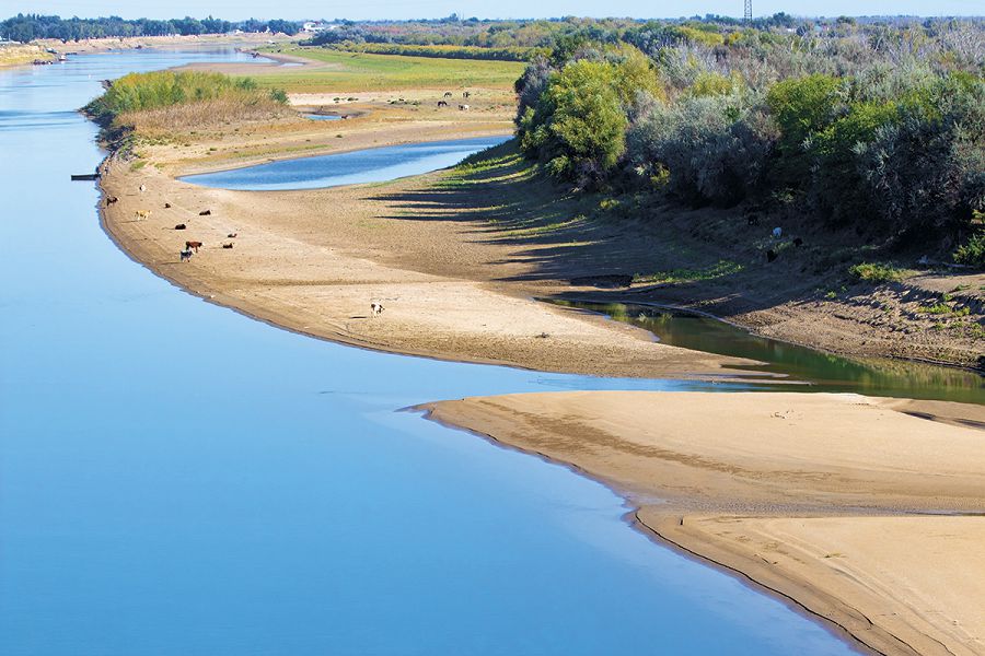 جايىقتىڭ جاعانى ۇرار تولقىنى جوق