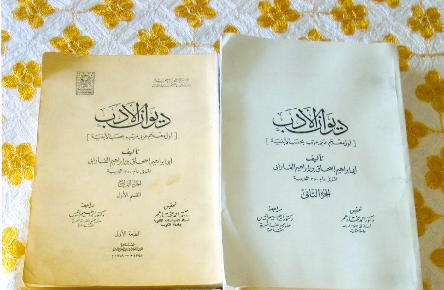 تۇركياداعى فارابيلەر