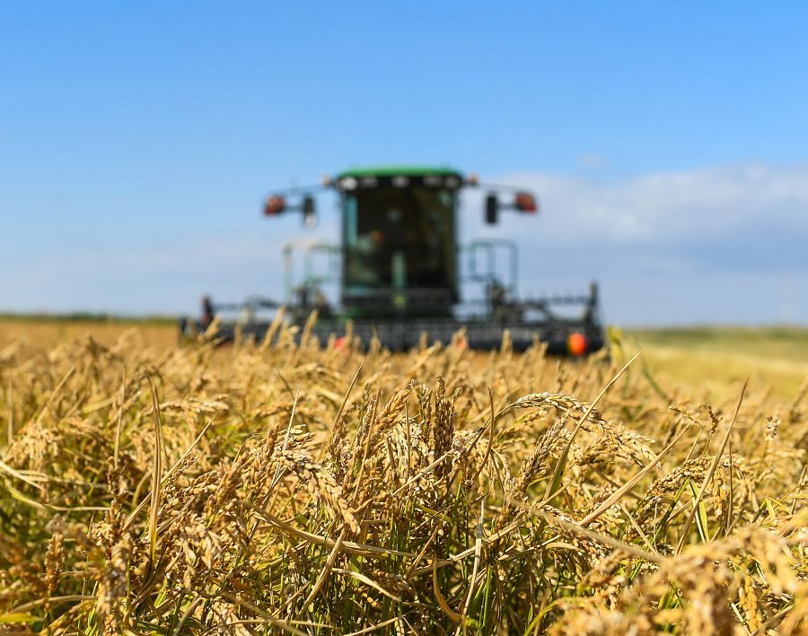 ەسەلى ەڭبەك ەل ىرىسىنا اينالار ءسات