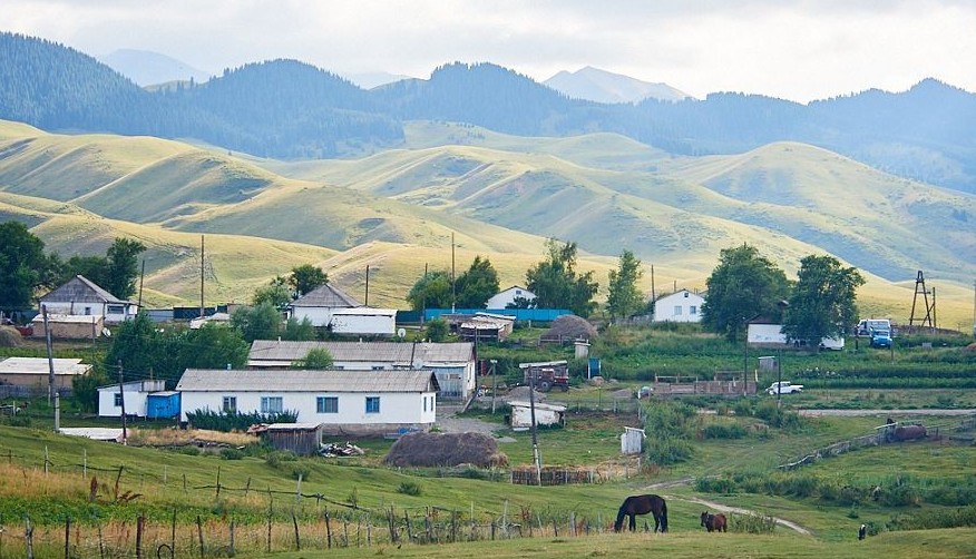 اربا سىندى دەپ كوشتەن قالمايىق