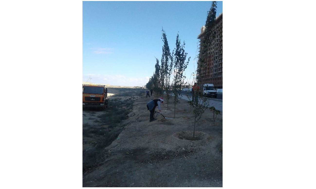 جاسىل جەلەكتى «جاقتىرمايتىن» اقتاۋ