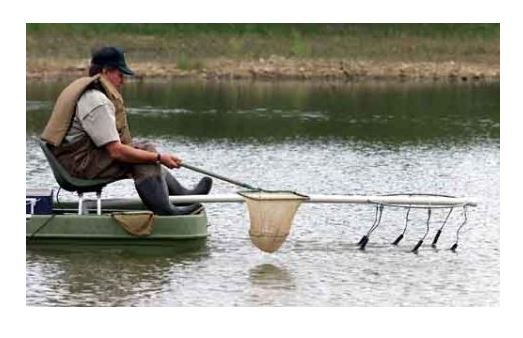 ەلەكترقارماق – بالىقتى بارادى جالماپ