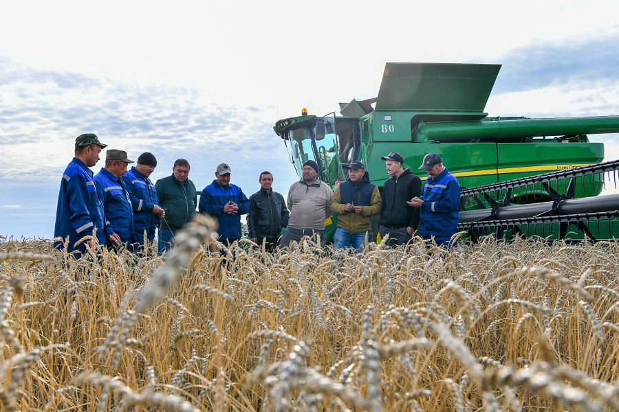 شىعىستىڭ استىعى شەتەلگە ەكسپورتتالادى