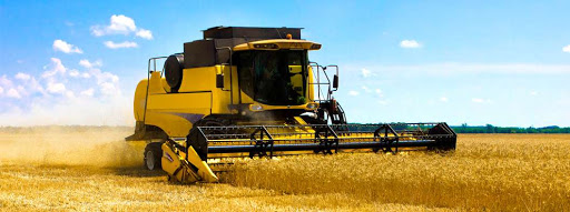 استىقتىڭ كولەمى دە, ساپاسى دا ارتتى