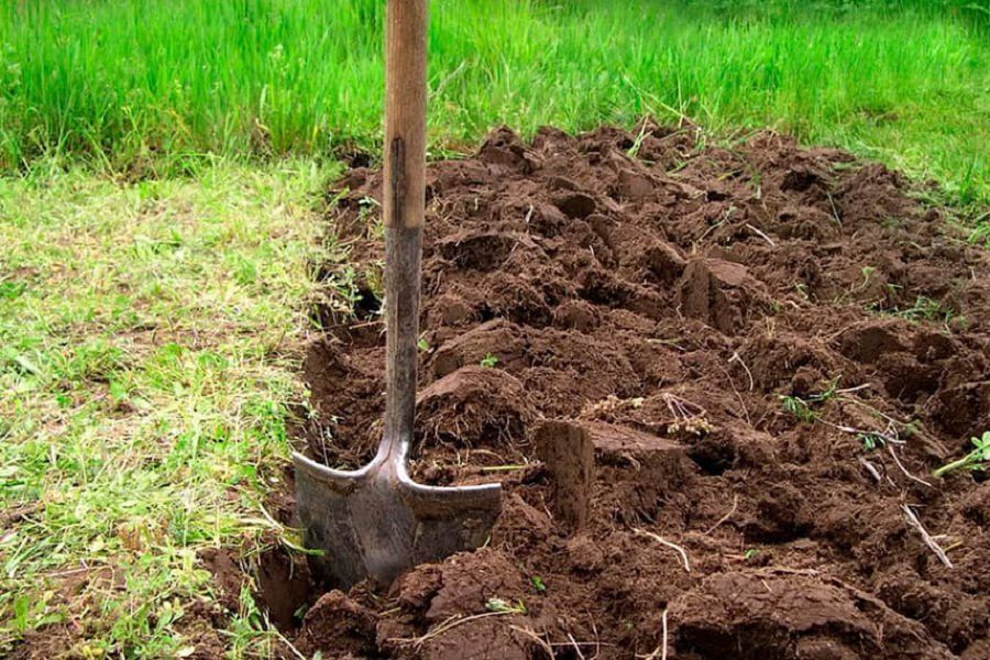 توزعان جەردە تولىمدى تابىس بولمايدى