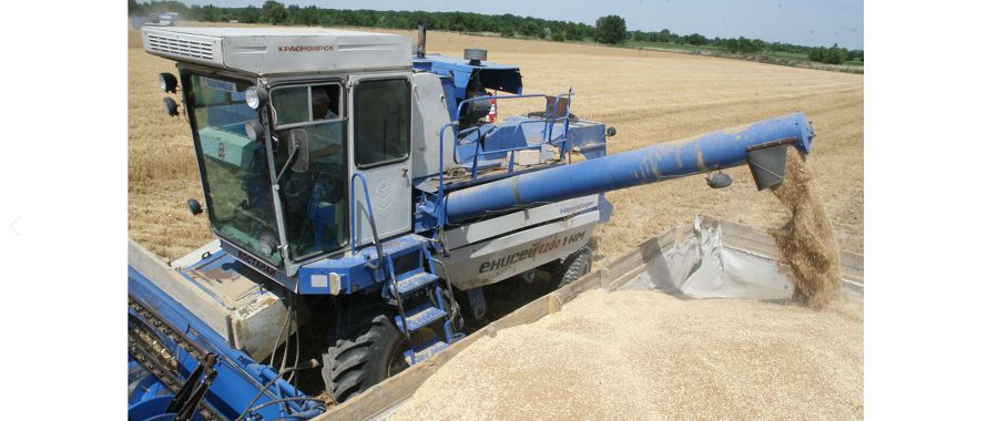 ديقاندار ءداندى داقىل ورۋدى اياقتادى