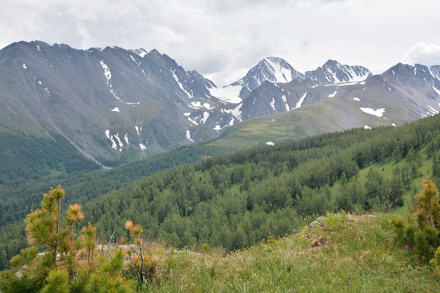 بۇركىت شىڭ, باسىڭ بيىك, شىعا المادىم...