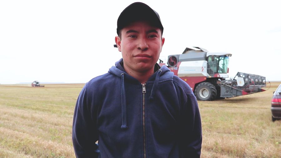 استىق جيناۋداعى العاشقى ارپالىس