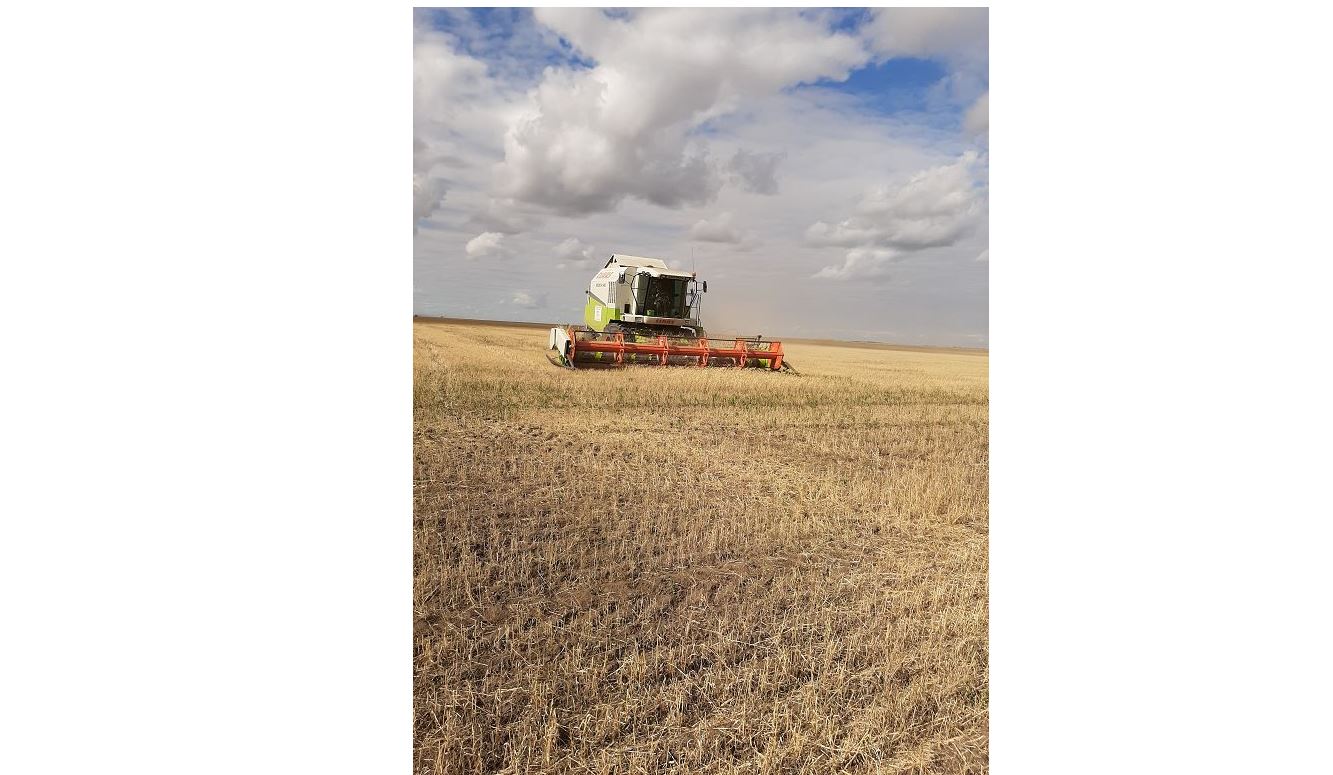 التىن استىقتى اۋىلدار