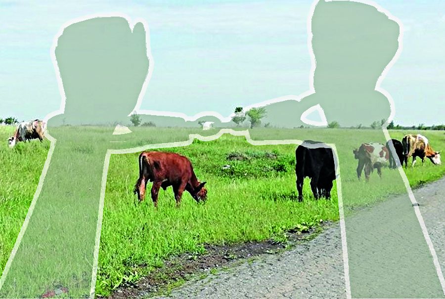 مال ۇرلىعى ءورشىپ تۇر