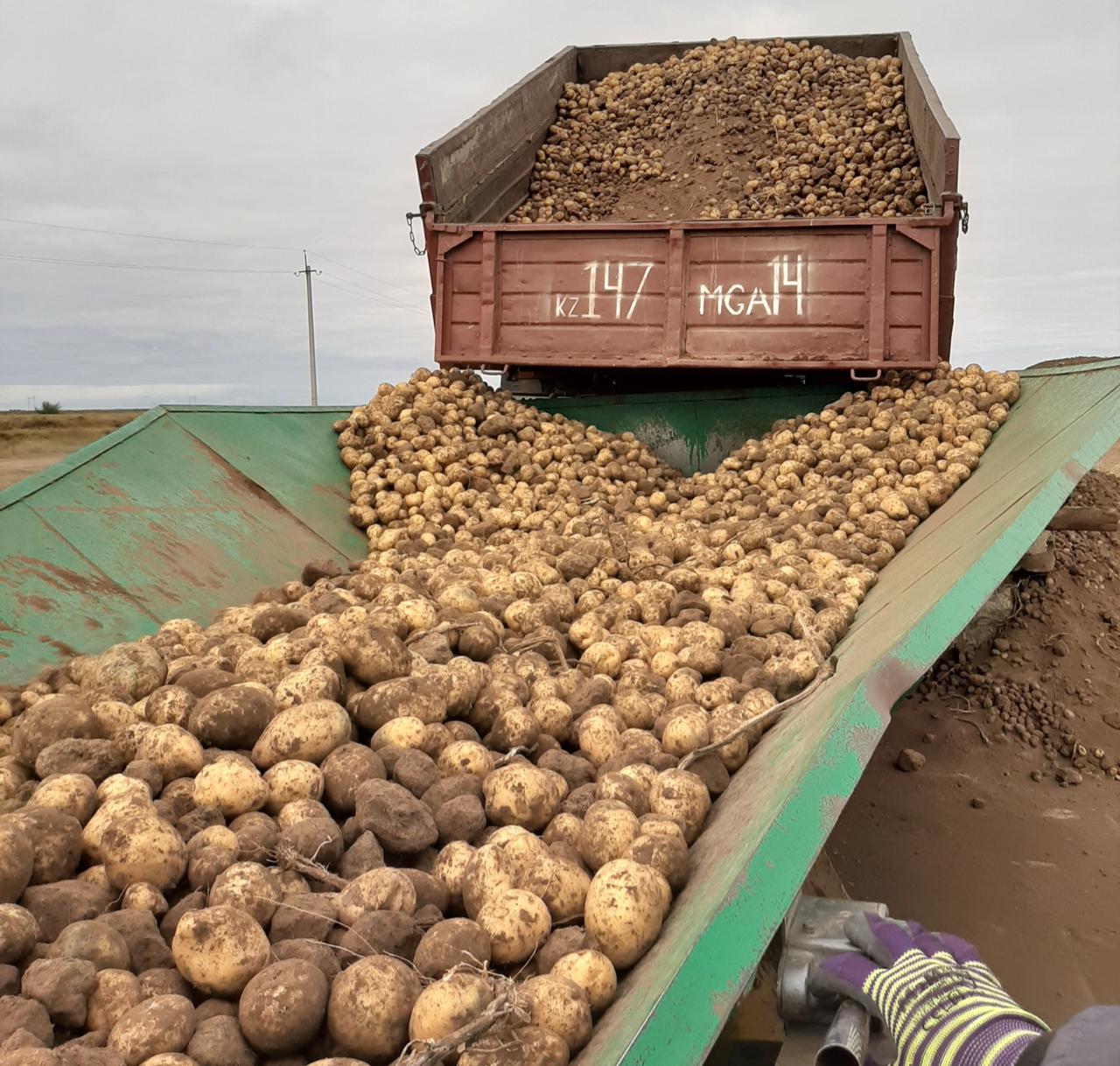 كارتوپ وسىرۋشىلەرمەن مەموراندۋم جاسالدى