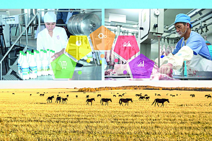 ەل ەكونوميكاسىنا سەرپىن بەرەتىن ۇلتتىق جوبا