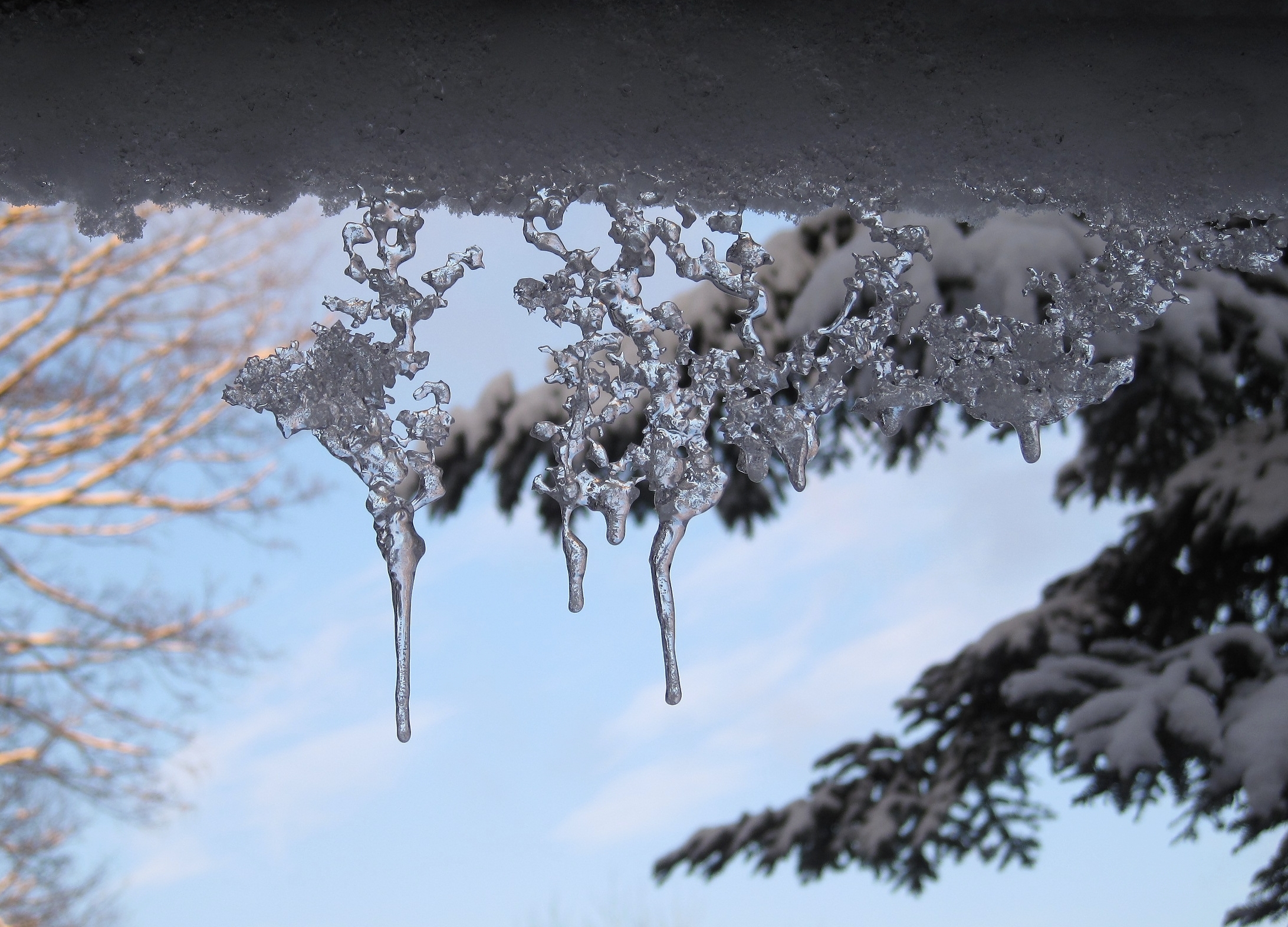 بۇگىن ءۇش وڭىردە ۇسىك جۇرەدى