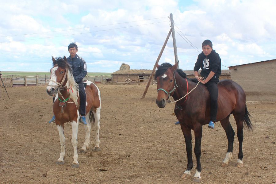 جىلقى باپتاۋ – قانعا بىتكەن قاسيەت