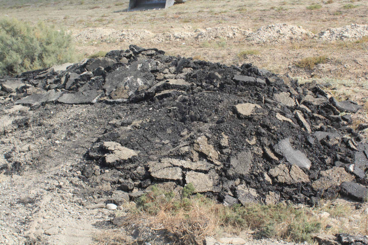 تۇركىستاندا جاڭا سالىنعان جولدار قايتا جوندەۋدى قاجەت ەتەدى