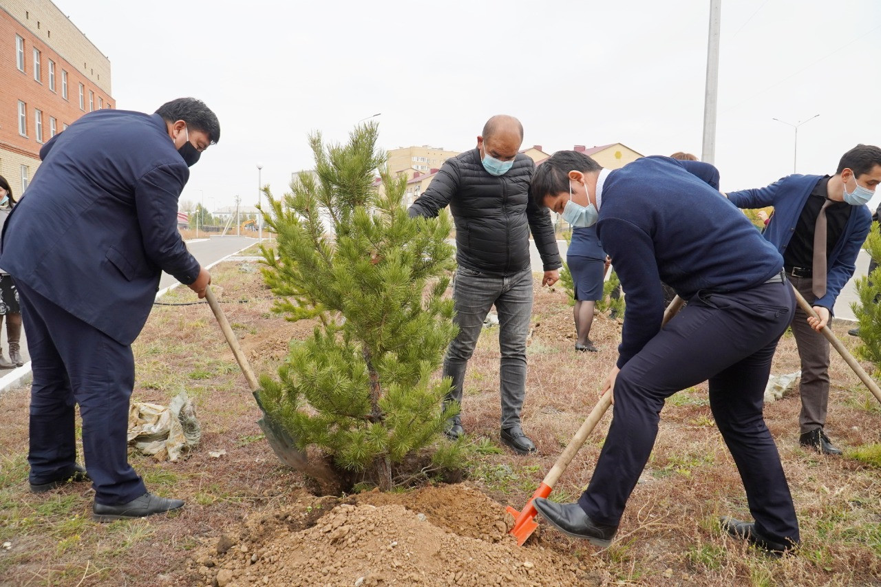 نۇر-سۇلتاندا ۇستازدار كۇنىنە وراي اعاشتار وتىرعىزىلدى