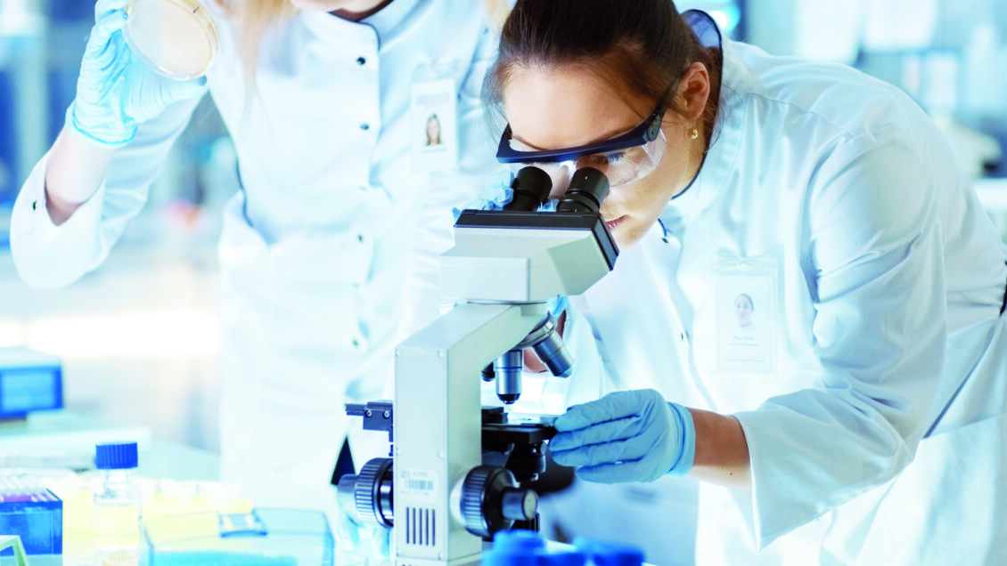 قازاقستاندا وتكەن تاۋلىكتە 72 ادام ىندەتىنەن ايىقتى