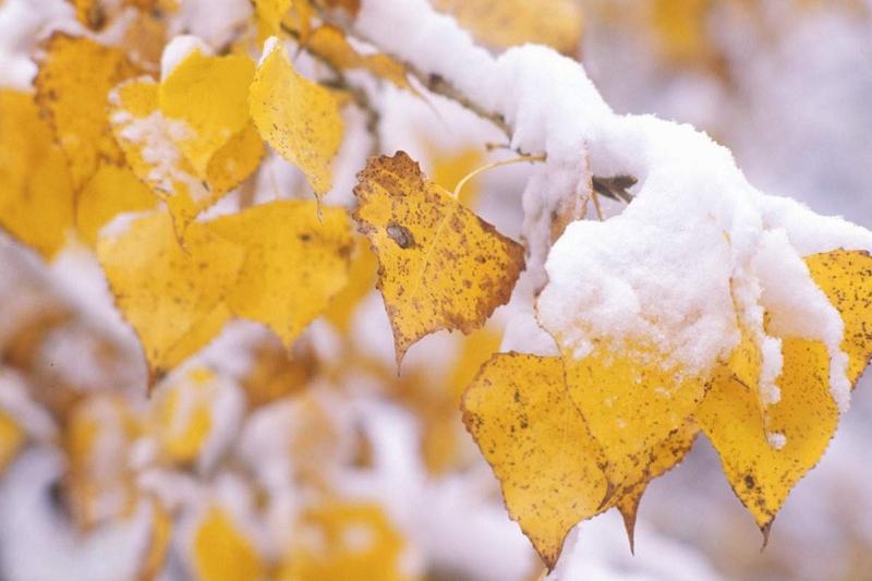 بىرنەشە وبلىستا اۋا رايىنا بايلانىستى ەسكەرتۋ جاسالدى