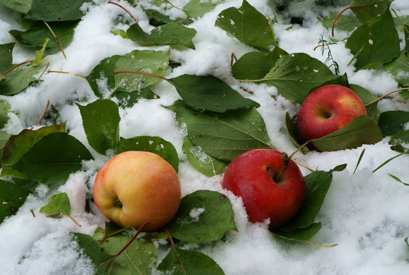 نۇر-سۇلتانعا العاشقى قار ءتۇستى