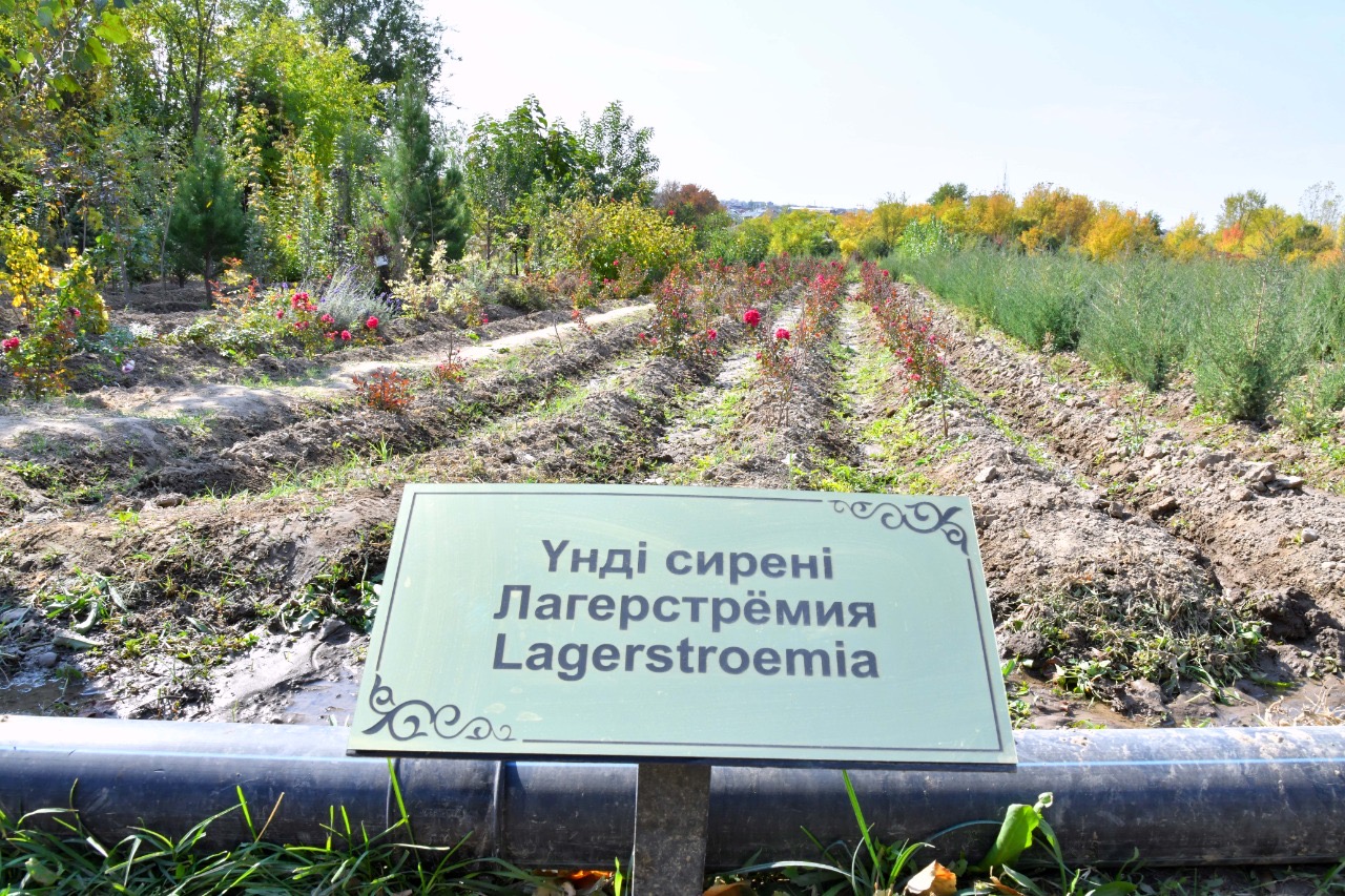 شىمكەنت قالاسىنىڭ اكىمى قالانىڭ جاسىل بەلدەۋىمەن تانىستى