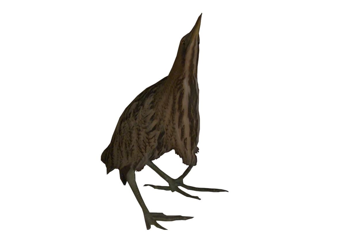 اداسقان اۋپىلدەك