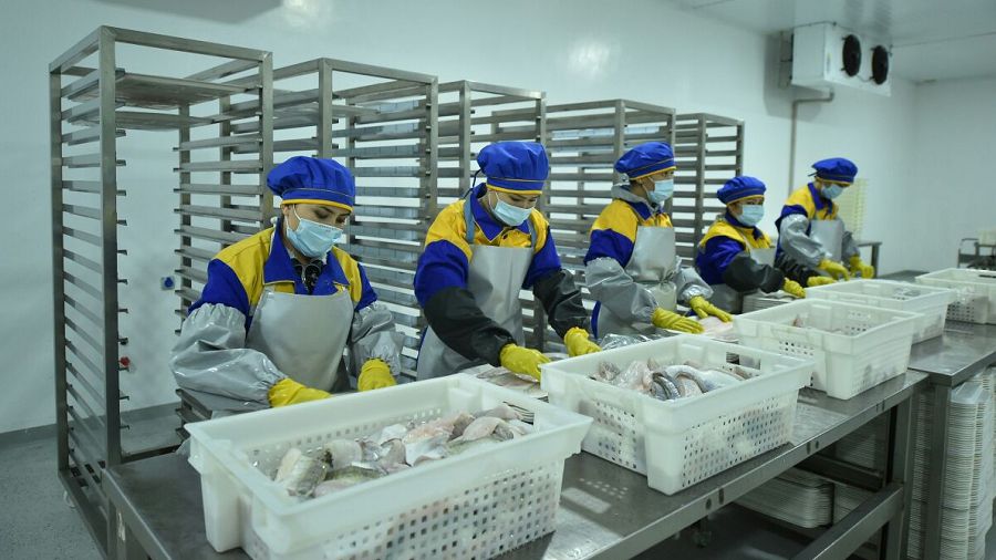 وسىرە بىلسەك بالىق تا, پايدا اكەلەر حالىققا