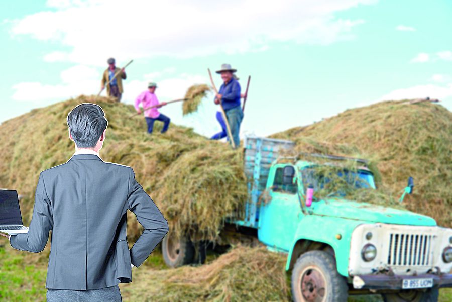 جاستار اۋىلدا تۇرۋدى قالايدى