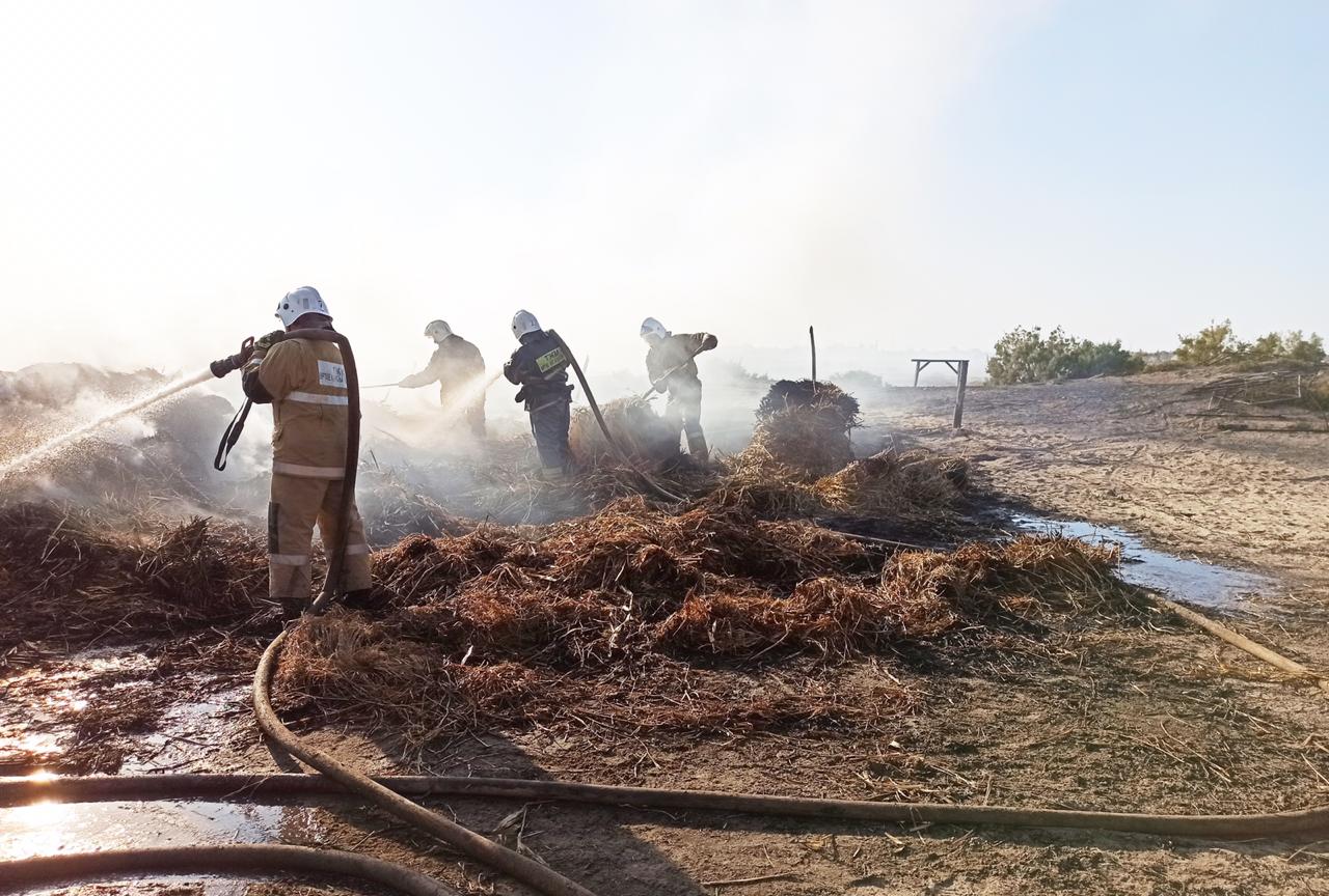 اتىراۋدا شارۋاگەرلەردىڭ ءشوپ ورامدارى ورتەندى