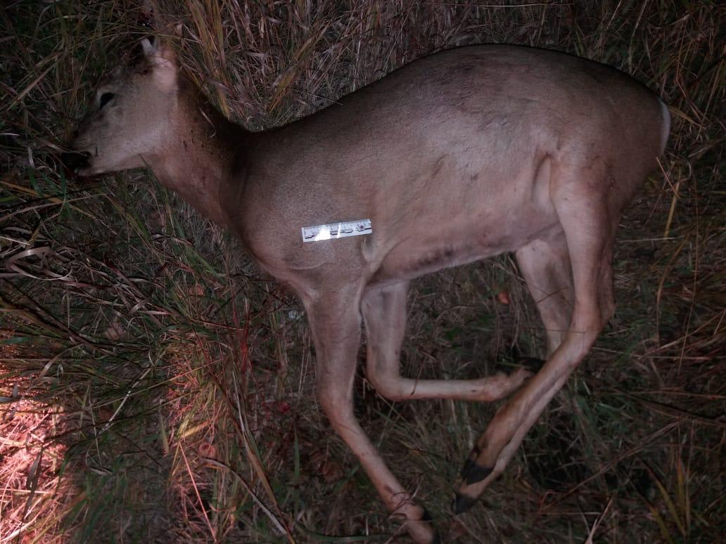 ەلىك اتقاندار ۇستالدى