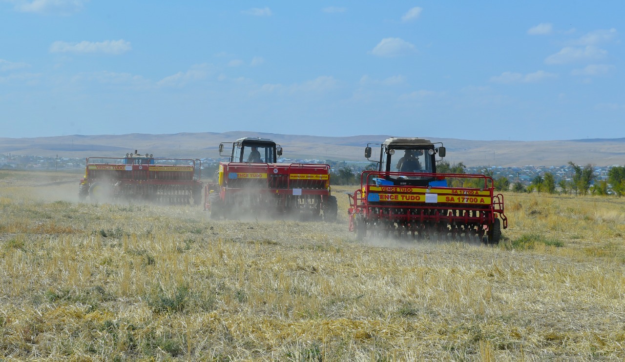 تۇركىستاندا جاڭا تەحنولوگيامەن كۇزدىك استىق ەگۋ باستالدى