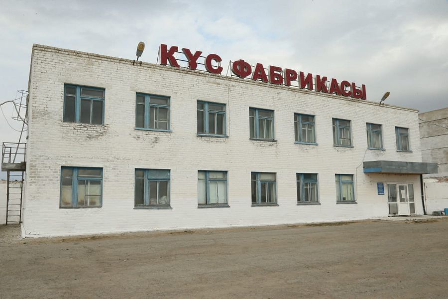 قۇس فابريكاسىنا قولداۋ كورسەتىلەدى