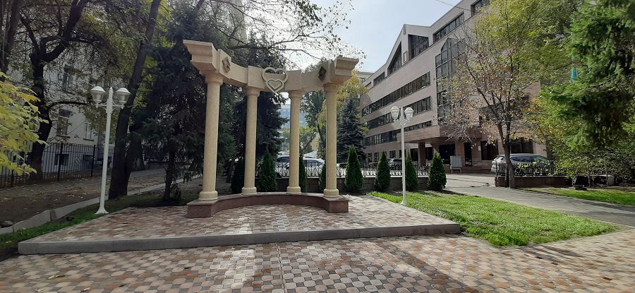 جاسىل جەلەكپەن اباتتاندىرىلادى