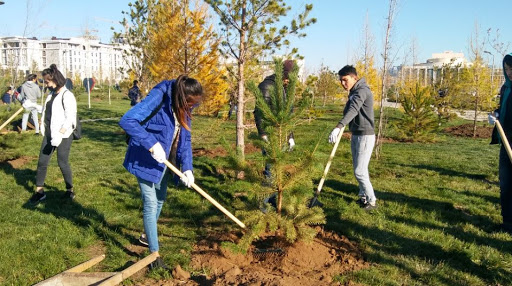 الماتىلىقتار اعاش وتىرعىزاتىن جەردى وزدەرى ۇسىنا الادى